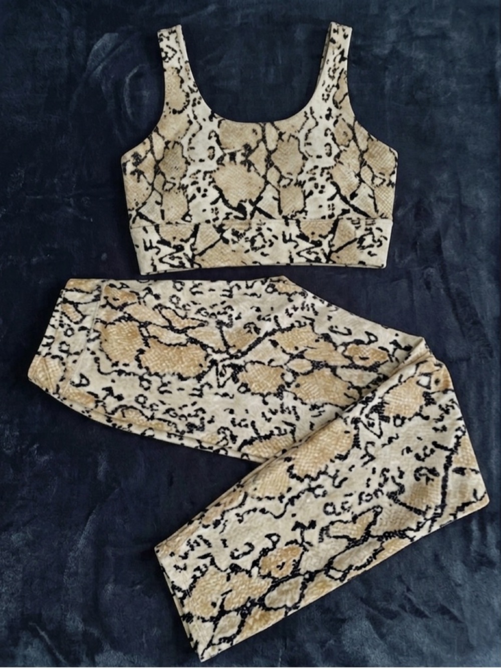 AllFenix White Python Snakeskin Pilates Set - Bra L / Leggings S - Picture 4 of 11